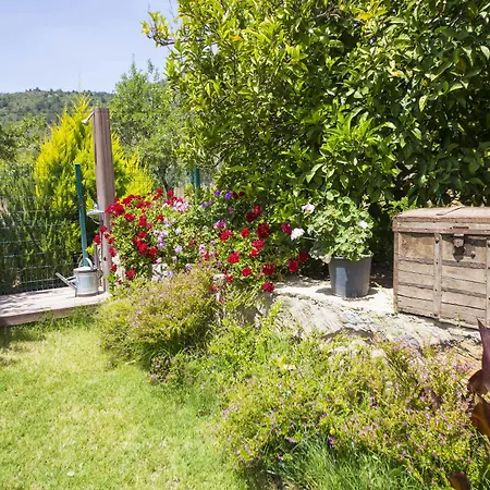 Bal Badem ベッド・アンド・ブレックファスト