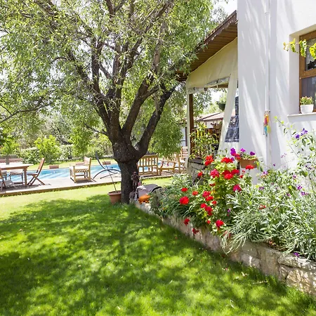 Bal Badem ダッチャ