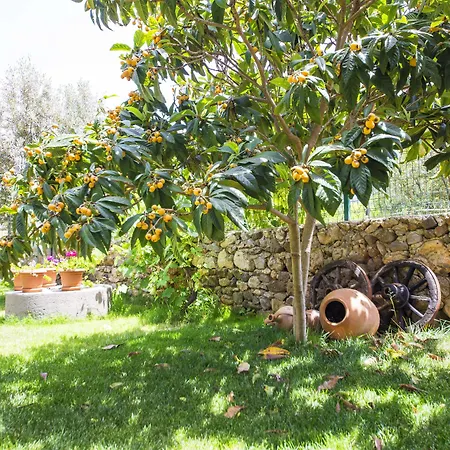 Bal Badem Bed & Breakfast *