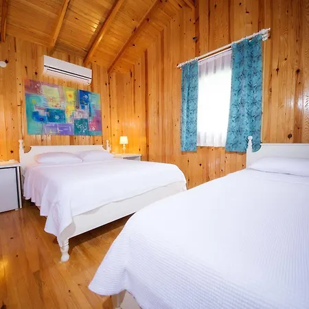 Bal Badem ダッチャ