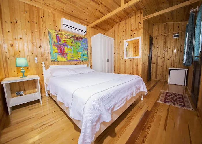 Bal Badem Датча