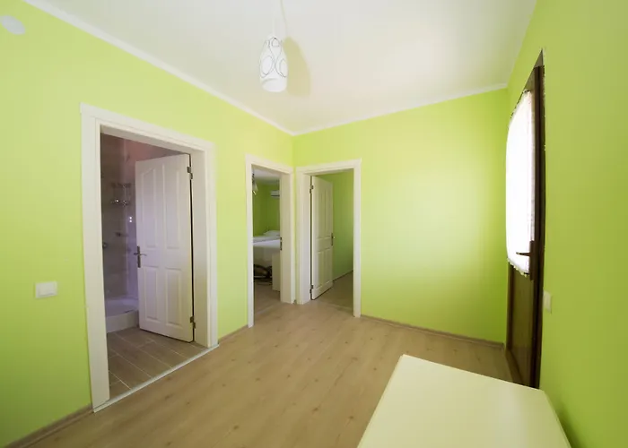 Bal Badem Датча