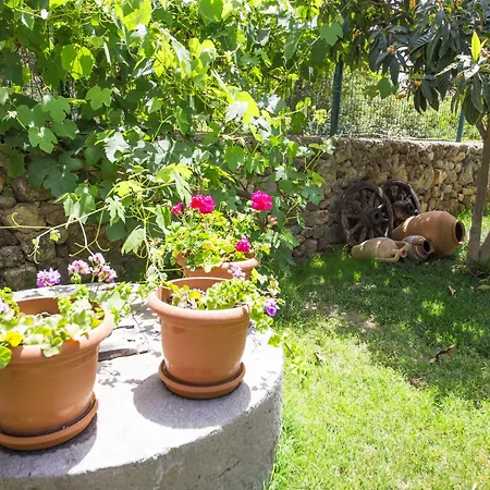 Bed & Breakfast Bal Badem