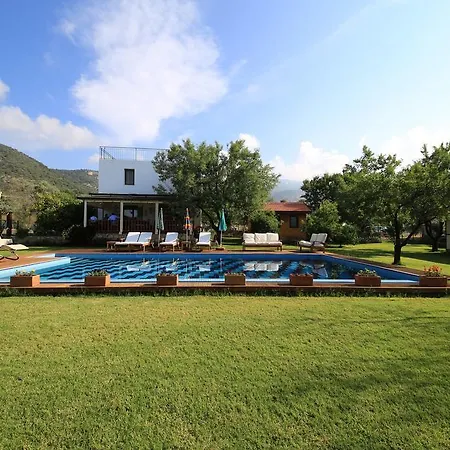 Bal Badem Bed & Breakfast *